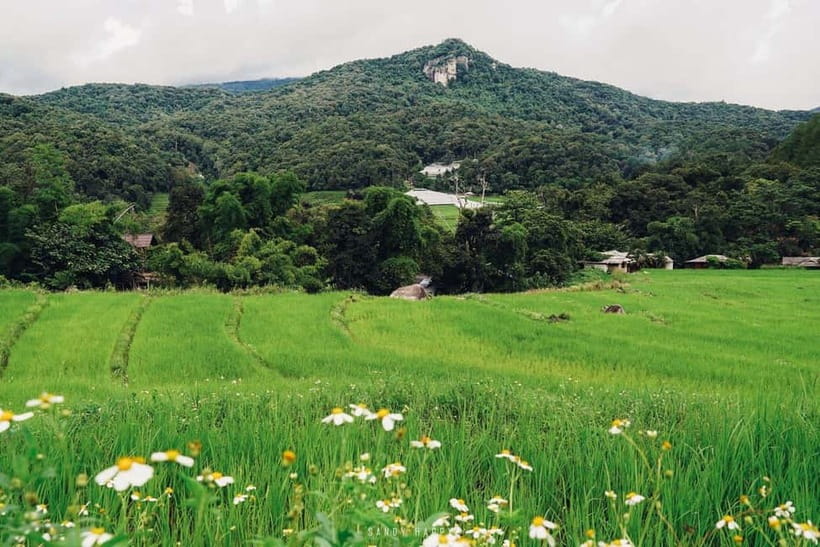 Chiang Mai: Doi Inthanon Trip with Pha Dok Siew Guided Trek - Karen village lunch, coffee, and rice fields