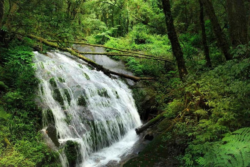 Chiang Mai: Doi Inthanon Trip with Pha Dok Siew Guided Trek - Wachirathan Waterfall gives the day a dramatic stop
