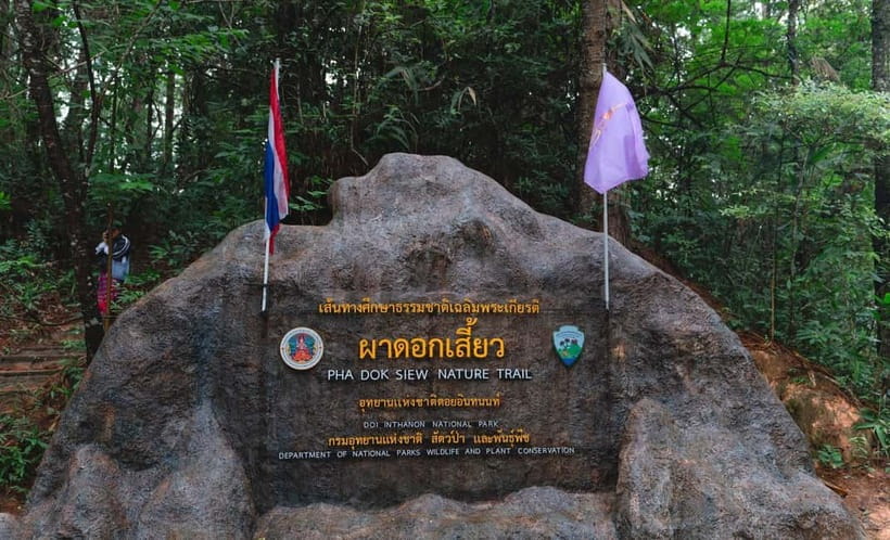Chiang Mai: Doi Inthanon Trip with Pha Dok Siew Guided Trek - The early van ride from Chiang Mai