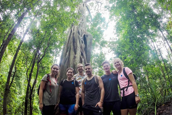 Chiang Mai: Doi Suthep Summit Trek – 7 Hour Pure Hiking Adventure - A mountain day that earns its views
