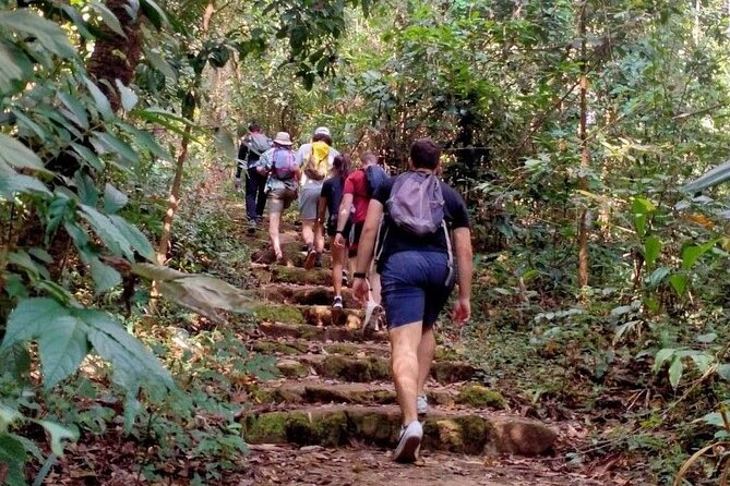 Chiang Mai: Doi Suthep Summit Trek – 7 Hour Pure Hiking Adventure - The ride down and possible temple stop