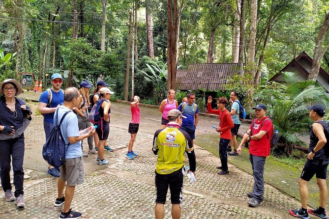 Chiang Mai: Doi Suthep Summit Trek – 7 Hour Pure Hiking Adventure - Wat Pha Lat, the quiet first reward