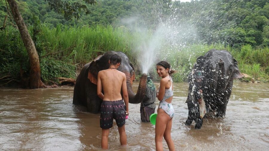 Chiang Mai: Elephant Sanctuary & Jungle Trek w/ Waterfall - A short jungle walk to Mae Wang Waterfall