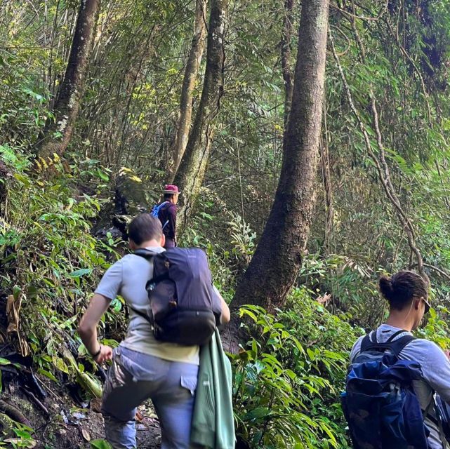 Chiang Mai: Elephant Sanctuary & Jungle Trek w/ Waterfall - Shan village lunch and a local touch