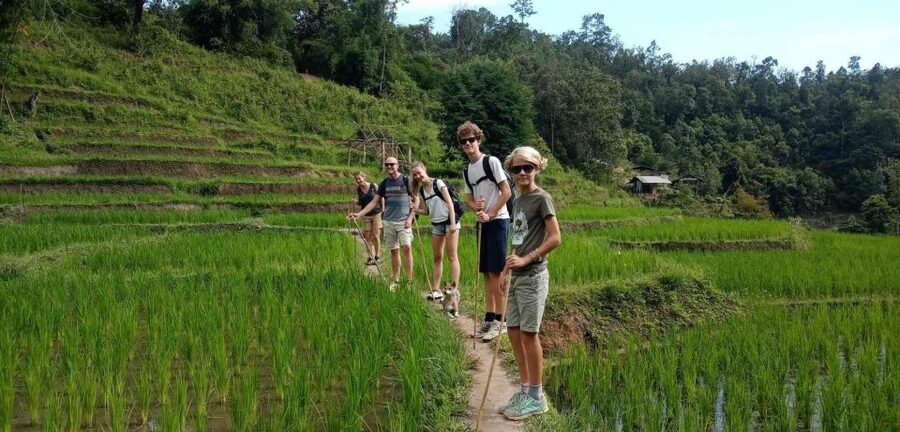 Chiang Mai: Elephant Sanctuary & Jungle Trek w/ Waterfall - What the $61 price really covers