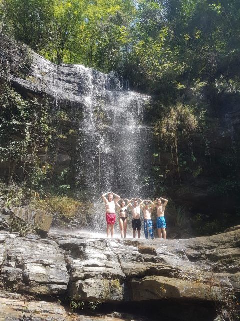Chiang Mai: Elephant Sanctuary & Jungle Trek w/ Waterfall - From Chiang Mai to Mae Wang by van