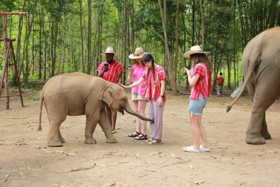 Chiang Mai: Full-Day Kerchor Elephant Eco Park Tour & Trek - Key points before you book