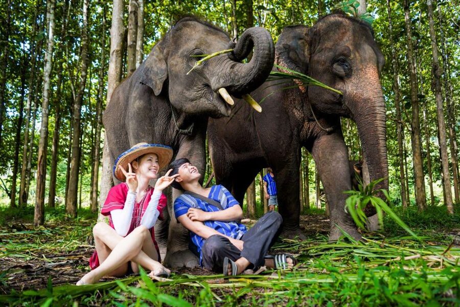 Chiang Mai: Full-Day Kerchor Elephant Eco Park Tour & Trek - Hiking to the waterfall