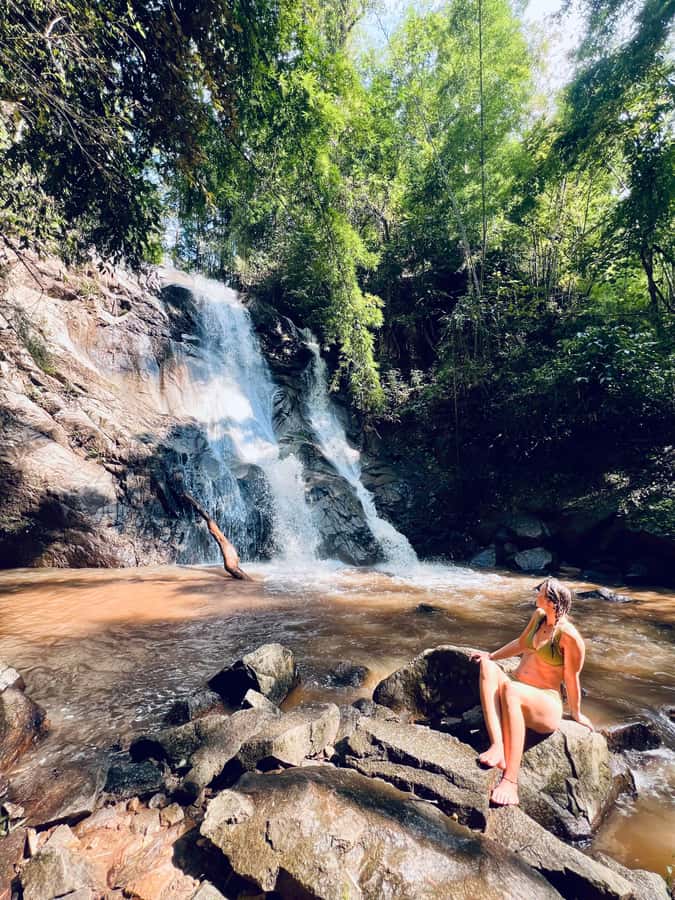 Chiang Mai Full-Day: Trekking, Tubing & Elephant Observation - What the guides add to the day