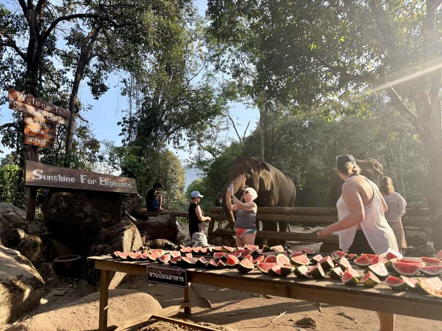 Chiang Mai Full-Day: Trekking, Tubing & Elephant Observation - Trekking to Tard Mok Waterfall