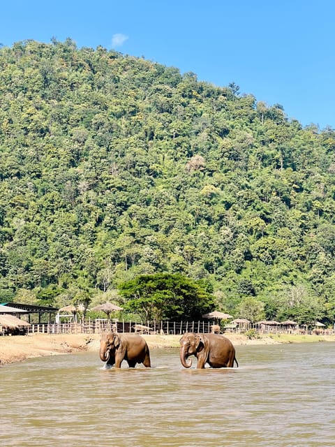 Chiang Mai Full-Day: Trekking, Tubing & Elephant Observation - Showers, tea, and the ride back