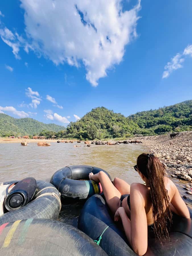 Chiang Mai Full-Day: Trekking, Tubing & Elephant Observation - Choosing between the two versions