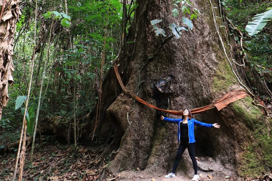 Chiang Mai: Gibbons, Trekking & Mae Kampong Small Group Tour - Mae Kampong village, coffee, and the waterfall
