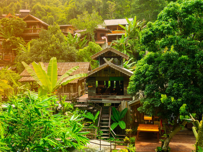 Chiang Mai: Gibbons, Trekking & Mae Kampong Small Group Tour - Lunch with local choices