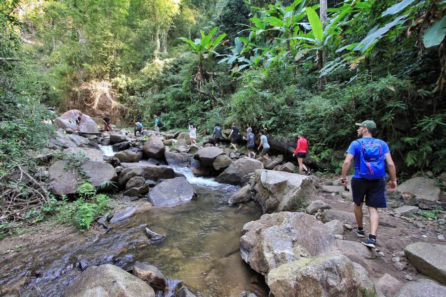 Chiang Mai: Guided Jungle and Waterfall Trek with Transfer - What the $64 price includes