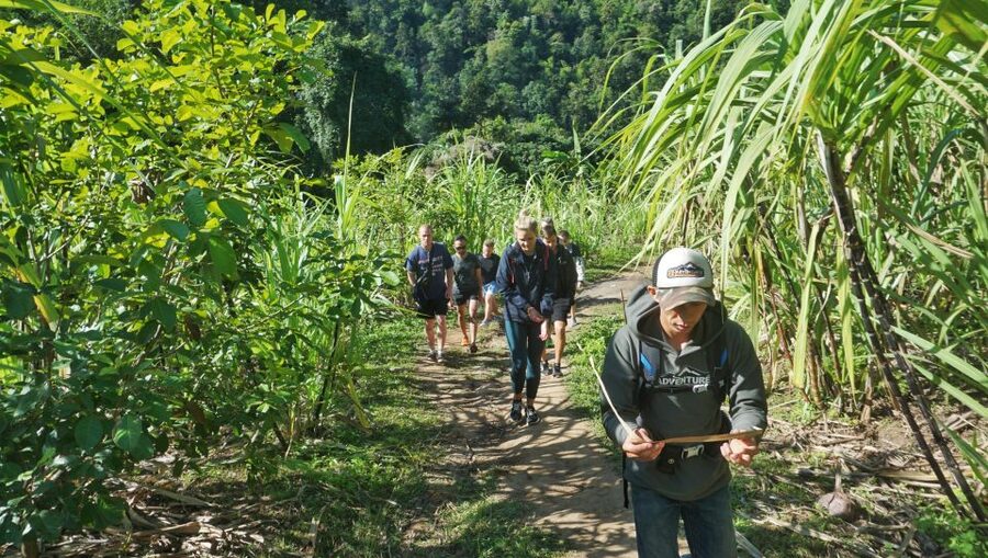 Chiang Mai: Guided Jungle and Waterfall Trek with Transfer - What to pack for a comfortable forest day