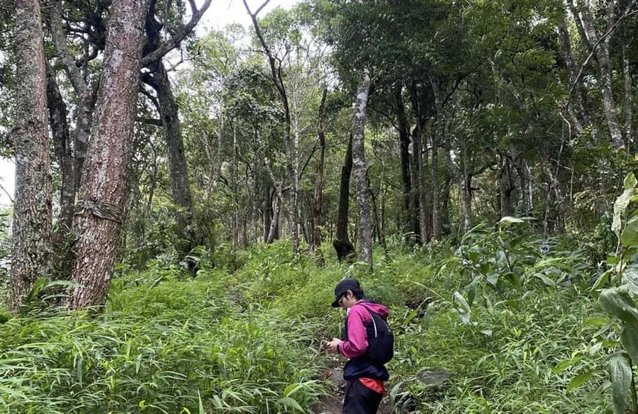 Chiang Mai: Hmong Village, Doi Suthep and Wat Pha Lat Trek - Why the Monk’s Trail is the right place to begin