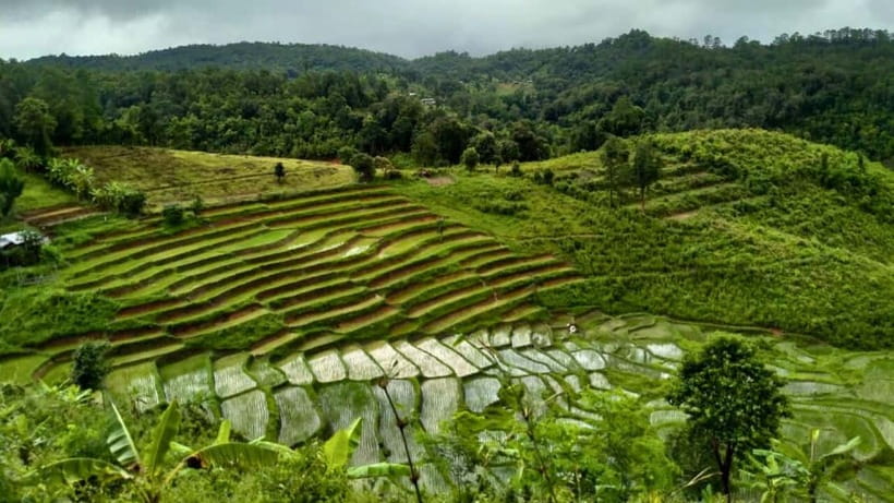 Chiang Mai: Jungle Trek, Elephants care & Bamboo Rafting - Karen village life and the waterfall stop
