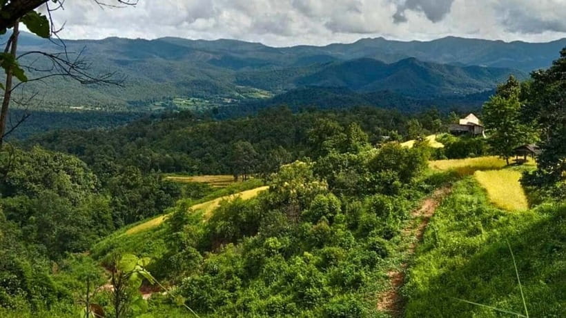 Chiang Mai: Jungle Trek, Elephants care & Bamboo Rafting - What $58 includes, and what it does not