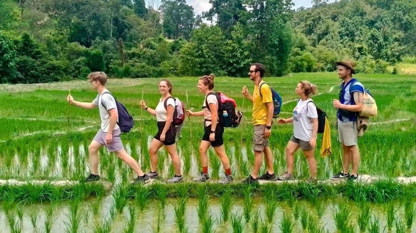 Chiang Mai: Jungle Trek, Elephants care & Bamboo Rafting - A local market before the outdoor activities