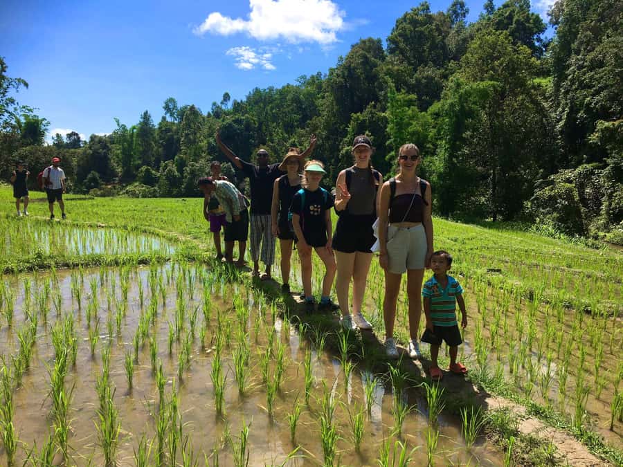 Chiang Mai: Karen Tribe & Dual Waterfalls - Private Day Trek - A Karen village visit with lunch and weaving