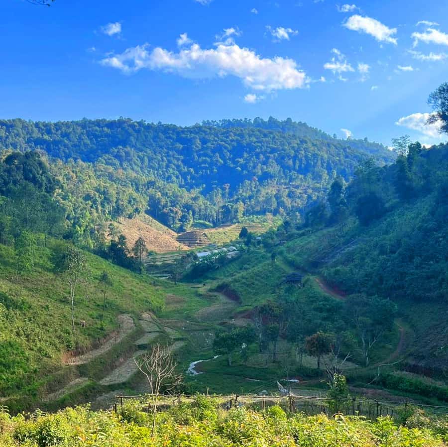 Chiang Mai: Karen Tribe & Dual Waterfalls - Private Day Trek - The second forest walk and waterfall