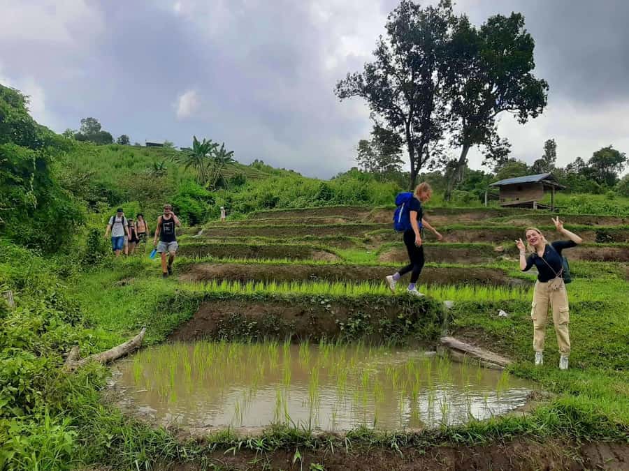 Chiang Mai: Karen Tribe & Dual Waterfalls - Private Day Trek - What the $343 private price really covers