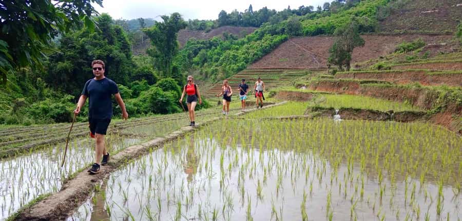Chiang Mai: Karen Tribe & Dual Waterfalls - Private Day Trek - The first two-hour walk through fields and forest