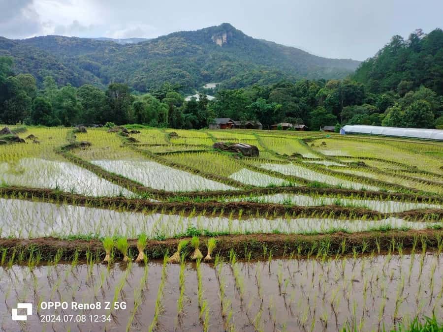 Chiang Mai: Mae Ya Waterfall & Pha Dok Siew Trail Trek - Why this Chiang Mai day trip works