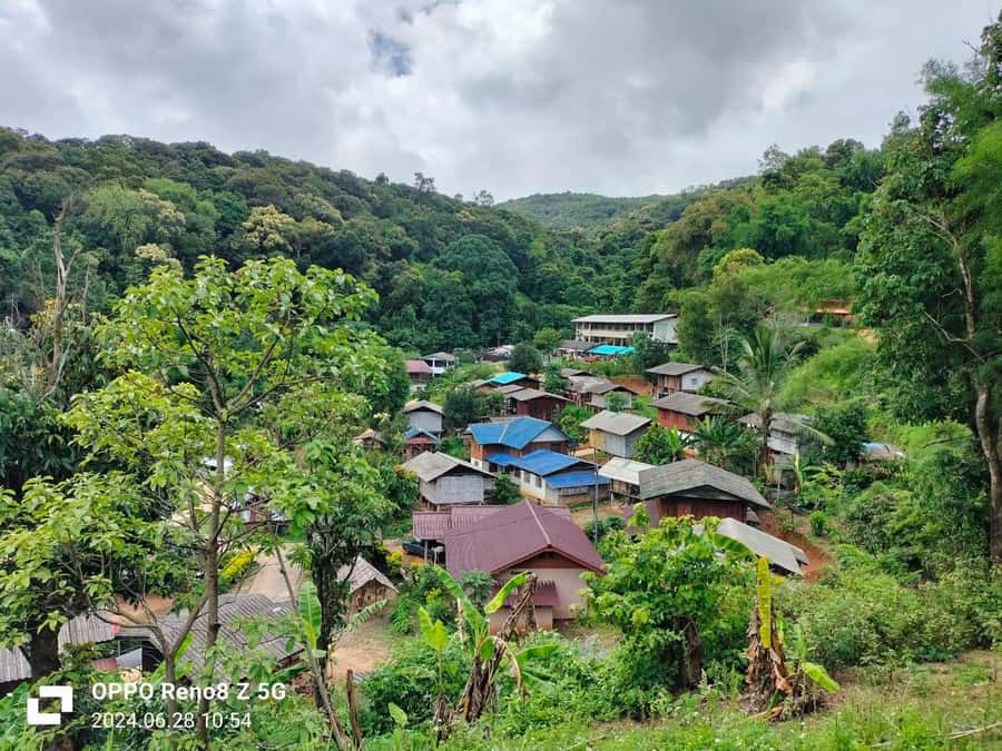 Chiang Mai: Mae Ya Waterfall & Pha Dok Siew Trail Trek - Walking the Pha Dok Siew Nature Trail
