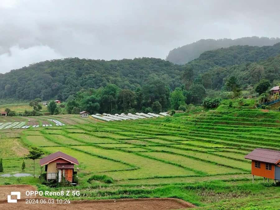 Chiang Mai: Mae Ya Waterfall & Pha Dok Siew Trail Trek - Coffee and lunch with the White Karen community