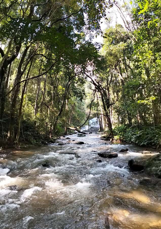 Chiang Mai: Mae Ya Waterfall & Pha Dok Siew Trail Trek - How hard is the walk?