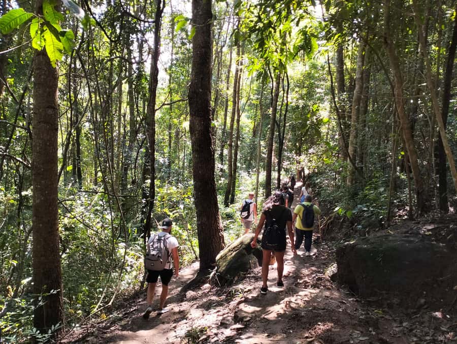 Chiang Mai: Mae Ya Waterfall & Pha Dok Siew Trail Trek - The early drive to Wachirathan Waterfall