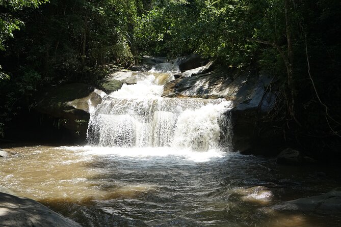Chiang Mai Trekking Tour :Full day (no rafting) - From Chiang Mai to the Doi Inthanon forests