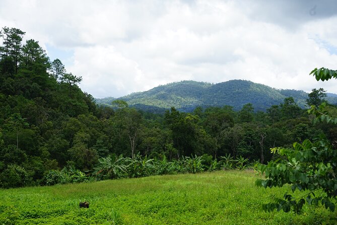 Chiang Mai Trekking Tour :Full day (no rafting) - Traditional Thai lunch in the forest