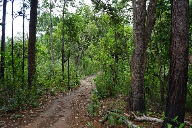 Chiang Mai Trekking Tour :Full day (no rafting) - Should you book the Chiang Mai trekking tour?