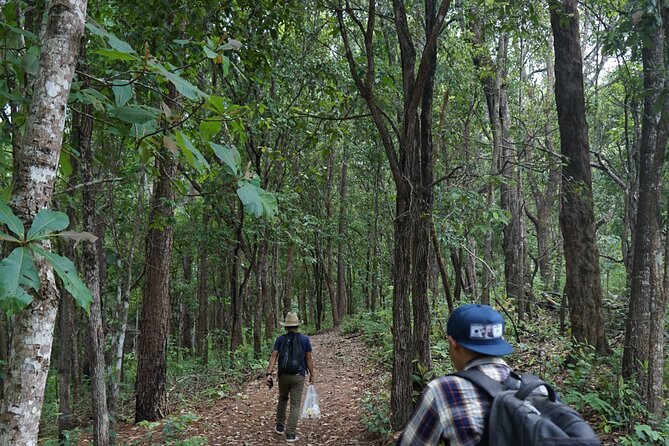 Chiang Mai Trekking Tour :Full day (no rafting) - Waterfall swimming after the trail
