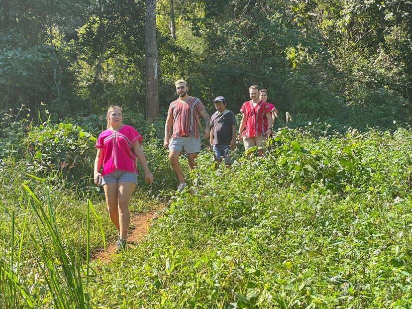 Chiang Mai Untouched Elephant: Nature Walk & Waterfall Trek - Walking through the jungle without a saddle