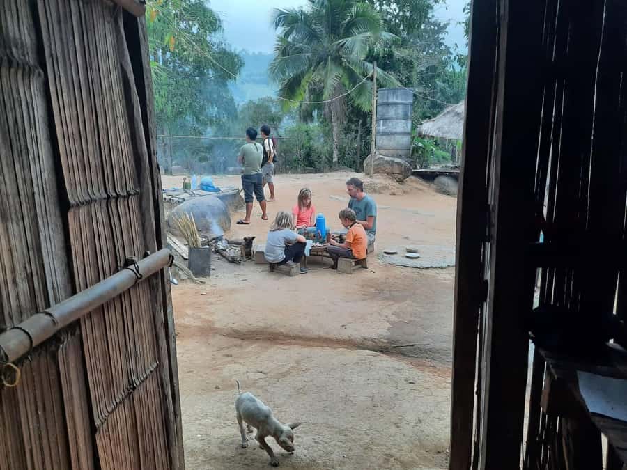 Chiang Rai 1 Day Jungle Trek with Bamboo Lunch & Local Guide - Meeting Akha and Lahu village life