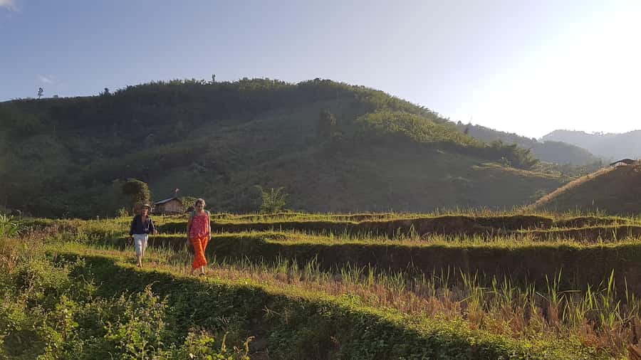 Chiang Rai 1 Day Jungle Trek with Bamboo Lunch & Local Guide - How hard is the trek?