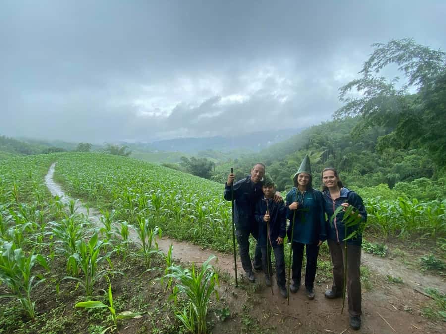 Chiang Rai: 1-Day Trekking and Longtail Boat Trip - The three-hour walk to Huay Kaew Waterfall