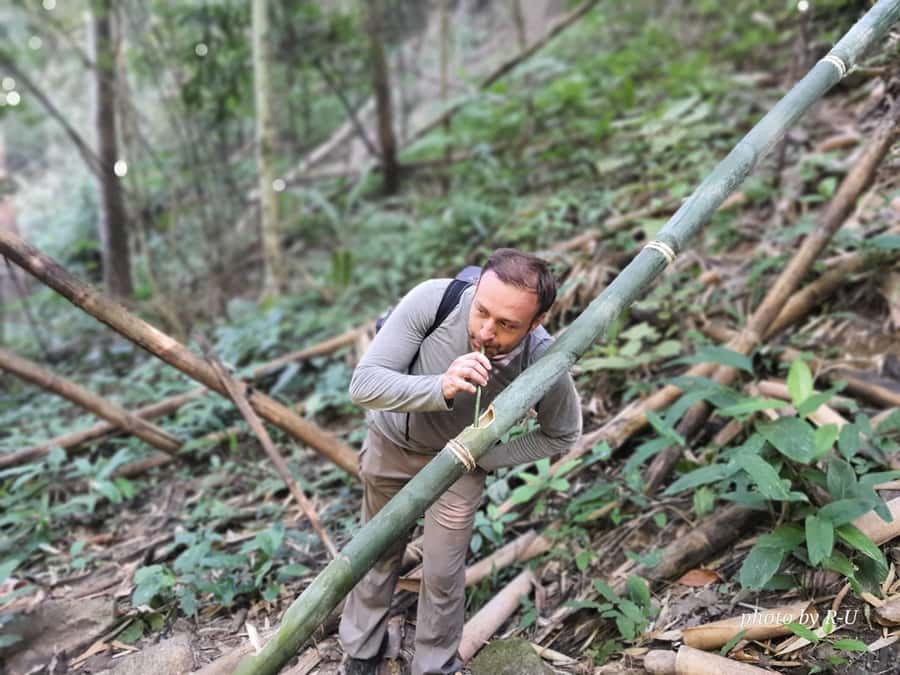 Chiang Rai: 2-Day Jungle Trek only walk with Waterfall - Day two: bamboo lunch and four village cultures