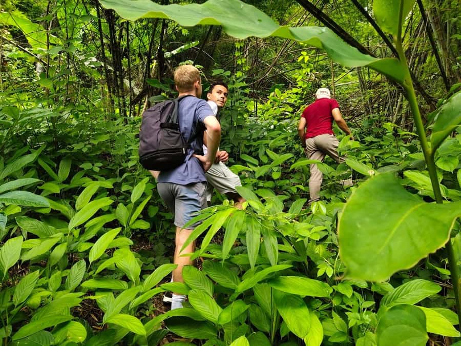 Chiang Rai: Jungle Adventure-Group Trekking & Bamboo Cooking - Key points at a glance