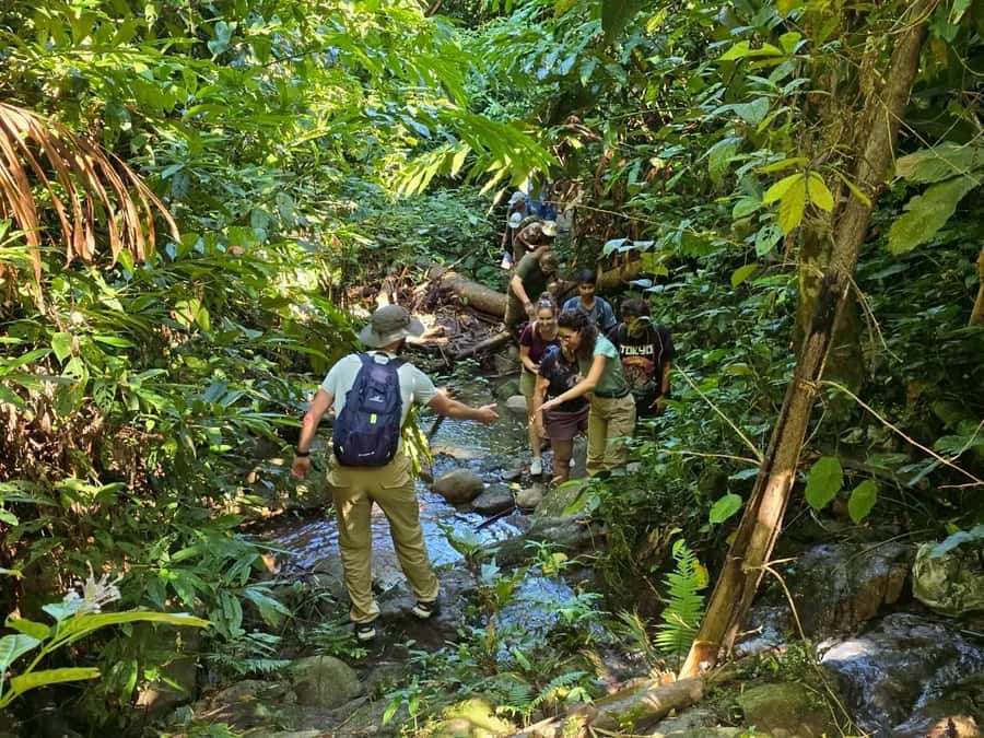 Chiang Rai: Jungle Adventure-Group Trekking & Bamboo Cooking - Villages, farms, and a slower view of northern Thailand