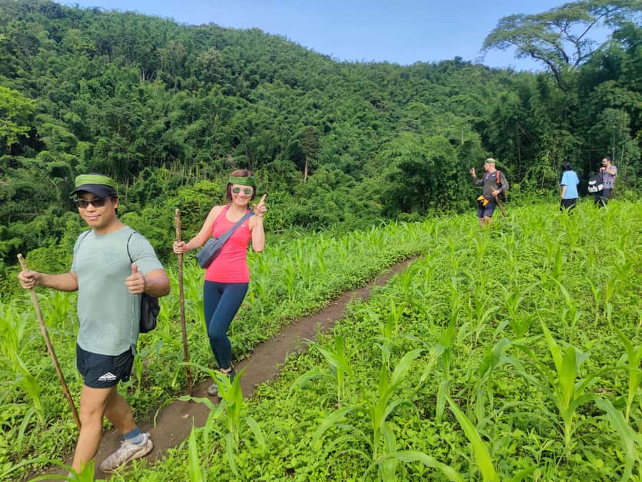 Chiang Rai: Jungle Adventure-Group Trekking & Bamboo Cooking - Waterfall time after the harder walking