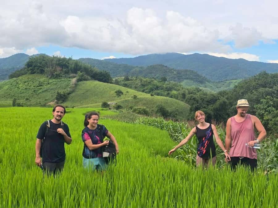 Chiang Rai: Jungle Adventure-Group Trekking & Bamboo Cooking - How hard is the 10 to 12 kilometer route?