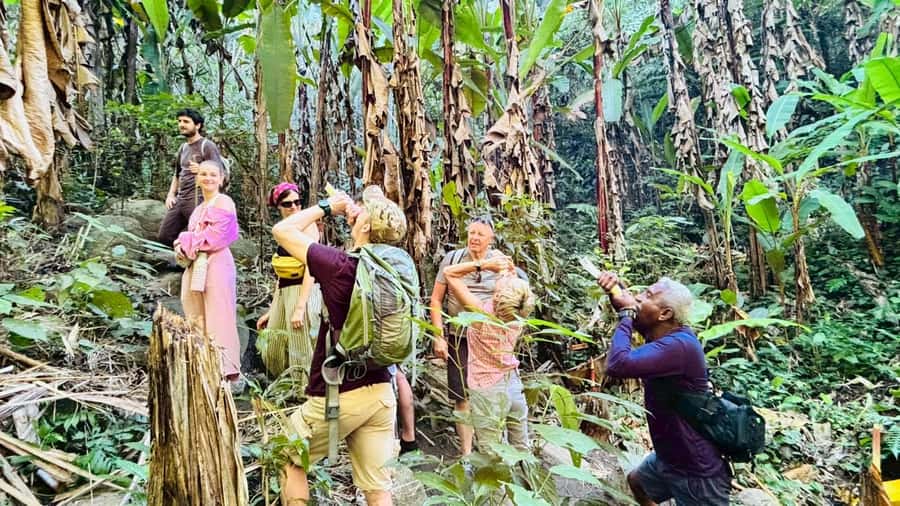 Chiang Rai: Jungle Adventure-Group Trekking & Bamboo Cooking - Guides make a major difference