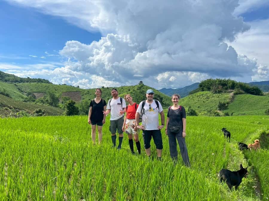 Chiang Rai: Jungle Adventure-Group Trekking & Bamboo Cooking - From Pa Soert Hot Spring to bamboo forest