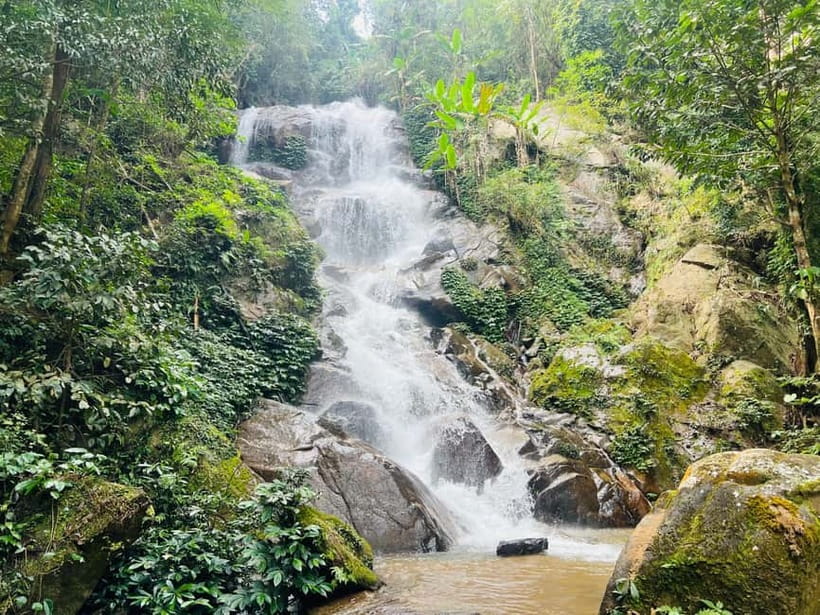 Chiang Rai: The Adventure of Trekking & Bamboo Cooking - A full day beyond Chiang Rai’s city streets