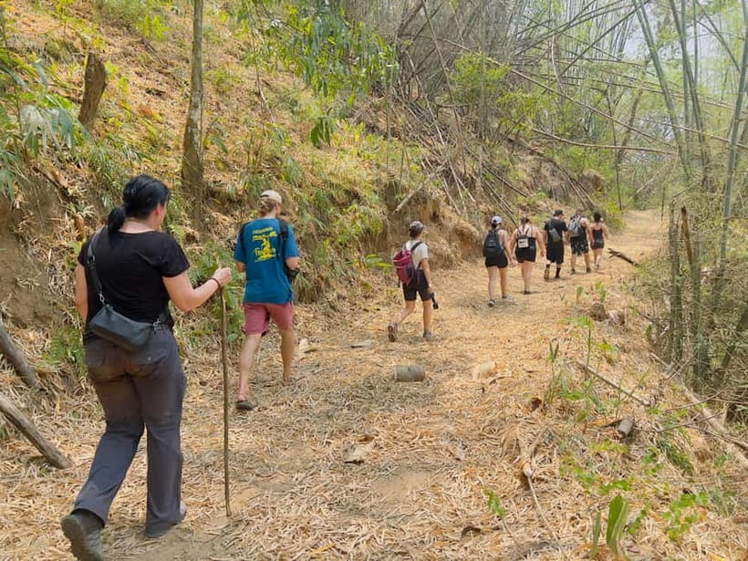Chiang Rai: The Adventure of Trekking & Bamboo Cooking - Tea plantation stop in the hills